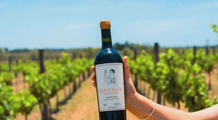 Encuentro Federal de Vinos en Bodega Gamboa: Cambio de Fecha al 9 de Noviembre