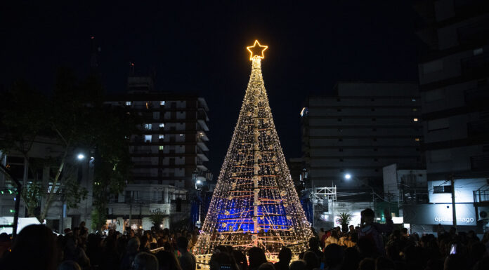 Mañana se encenderá el árbol de Navidad de la ciudad