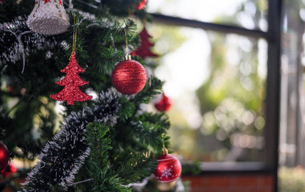 El Municipio invita a participar del concurso de vidrieras navideñas