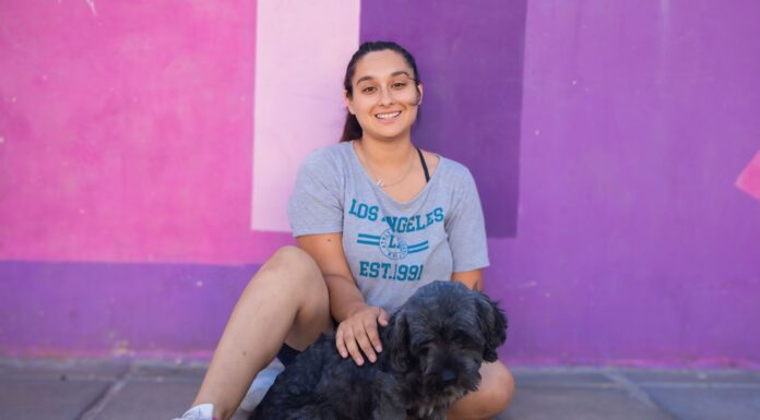 El Municipio realizará castraciones gratuitas en Las Acacias