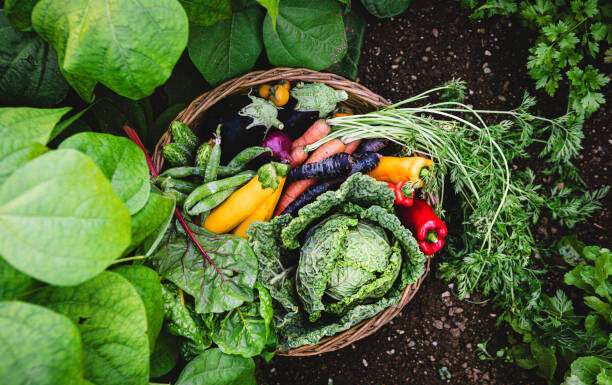 Invitan a los vecinos a participar de la charla “Mi huerta Otoño-Invierno”
