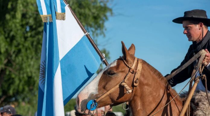 Campana celebró el Día de la Tradición con una fiesta multitudinaria