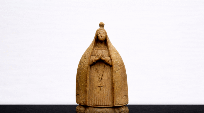 Entronizaron a la Virgen del Rincón del Canchillo en Río Luján